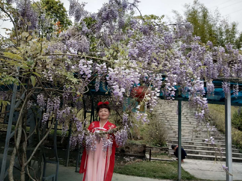 莉莉的第一张照片--南安婚介网