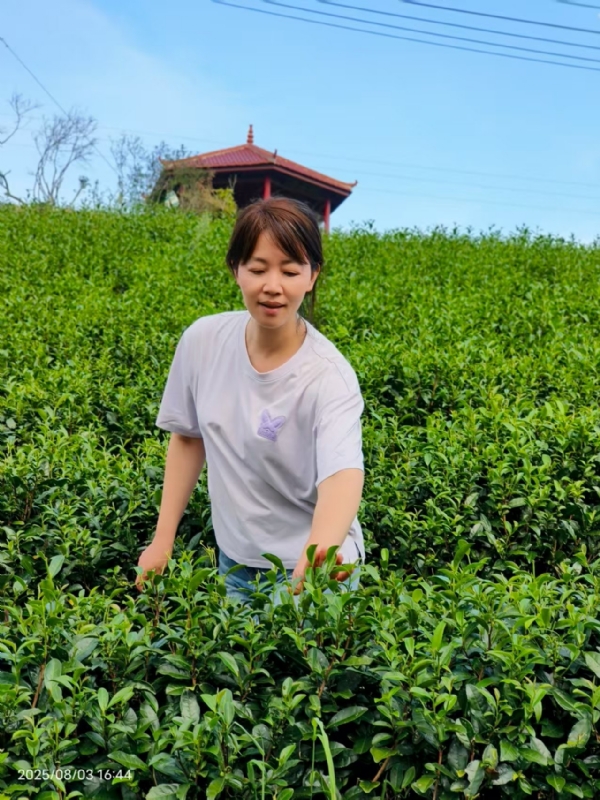 Q绮芳的第一张照片--南安婚介网